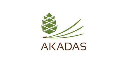 Naujienų straipsnio pagrindinė nuotrauka